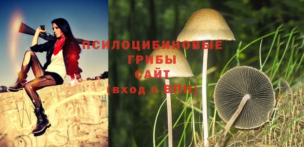 тгк Армянск