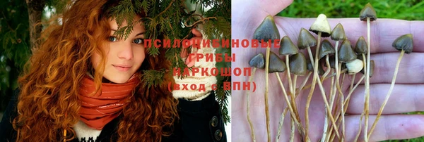 MESCALINE Арсеньев
